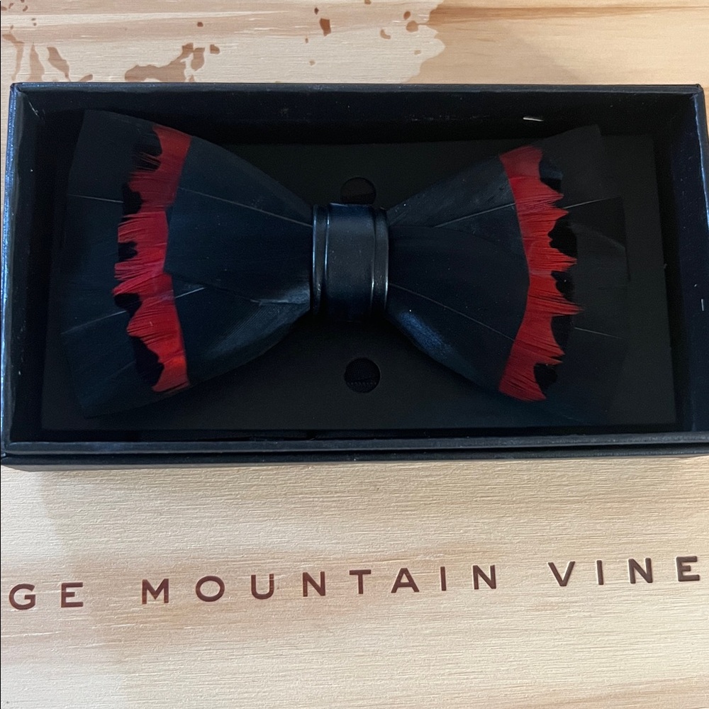 Luxury Feather Bow Ties